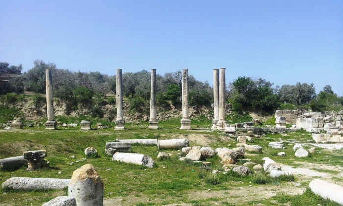 الاعمدة