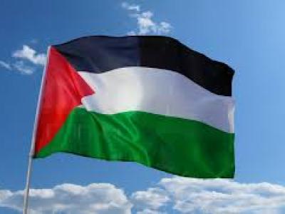 العلم 